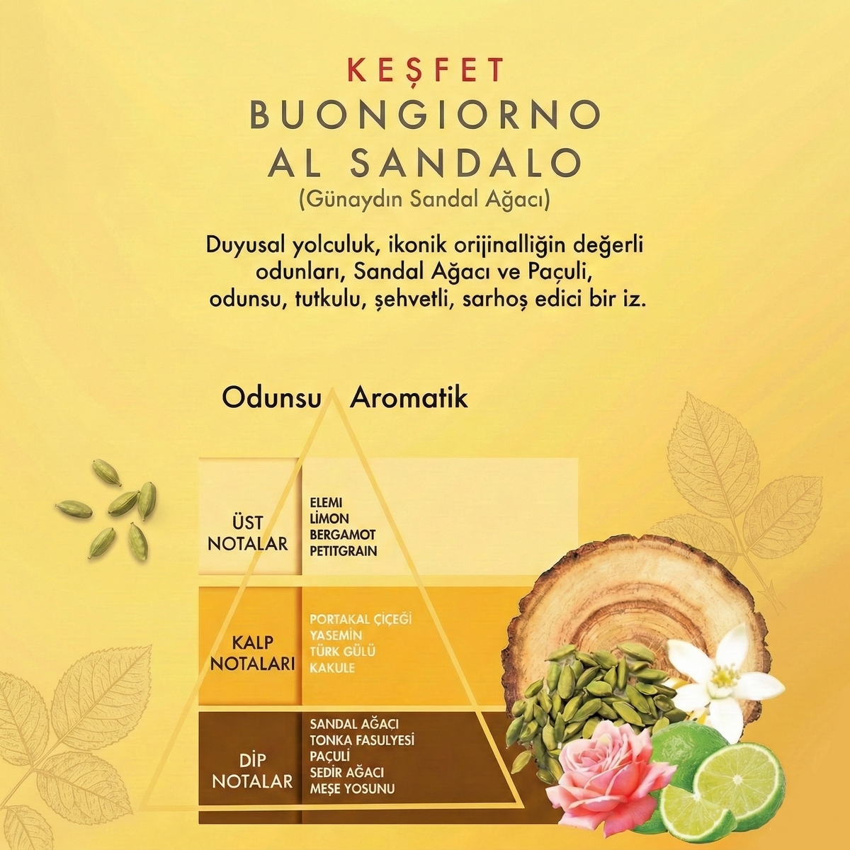 Cella Sandal Ağacı Özlü Profesyonel Tıraş Kremi 300 ml