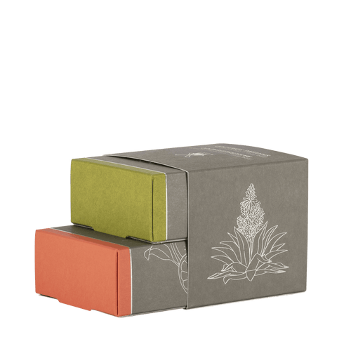 2'li tıraş sabunu - Aloe vera & Greyfurt