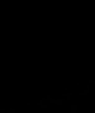 Klasik Tıraş Makinesi - R 89 GRANDE